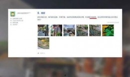 苏州酒店爆料事件视频,揭秘背后惊人真相