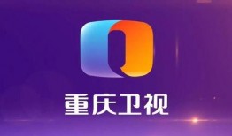 重庆卫视在线观看,尽享山城魅力，云端观战精彩瞬间