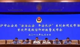 平舆融媒最新爆料新闻,最新爆料事件深度解析