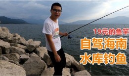 媳妇爆料鱼竿视频大全集,鱼竿视频大全集，揭秘钓鱼高手必备技巧